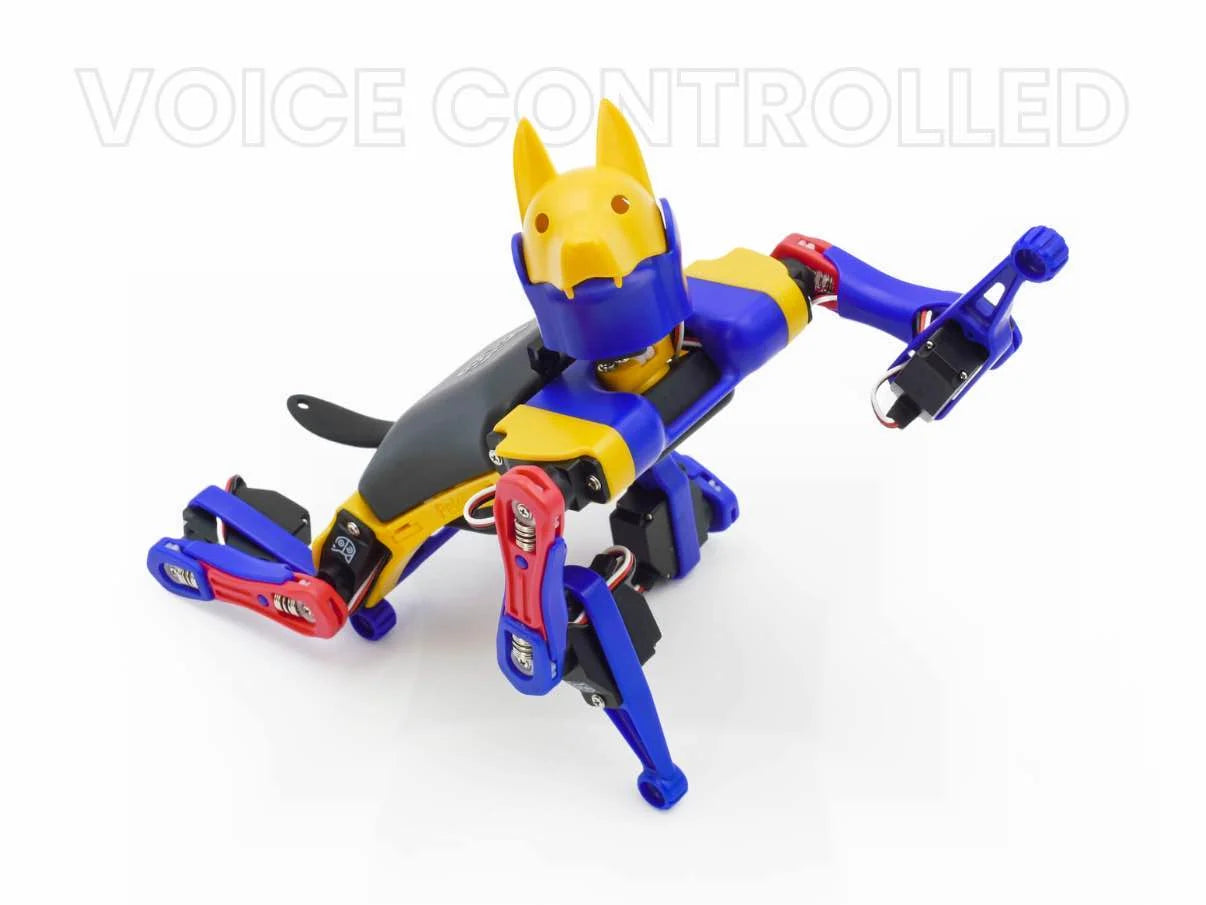 Robo Dog Bittle X | a Coding Robot | Petoi