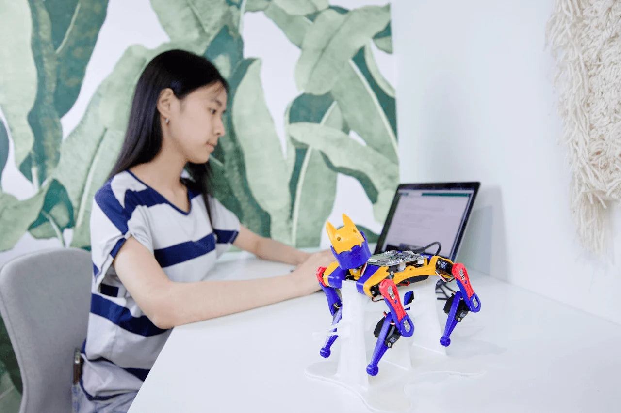 Robo Dog Bittle X | a Coding Robot | Petoi