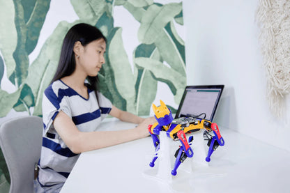 Robo Dog Bittle X | a Coding Robot | Petoi