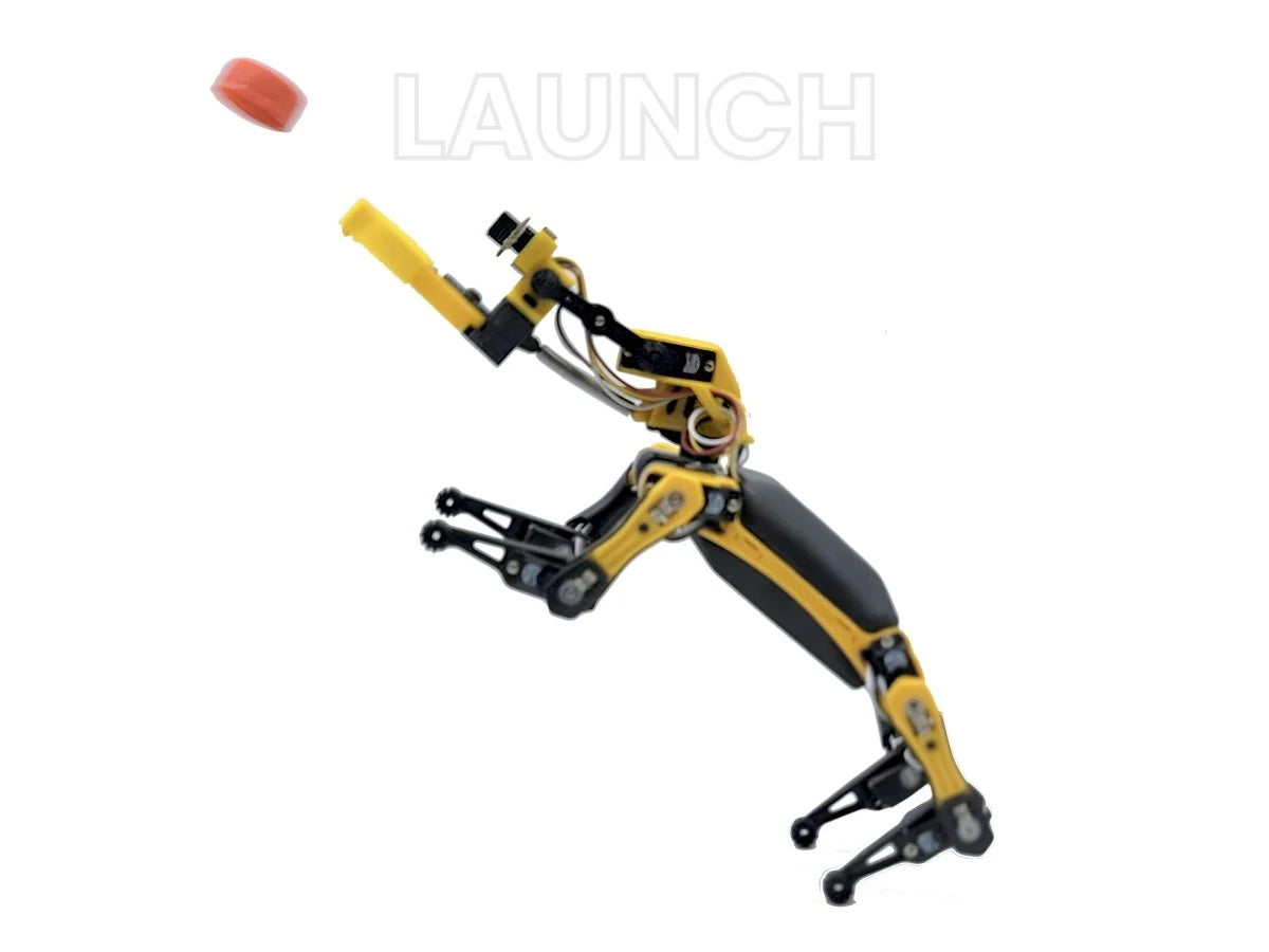 Robo Dog Bittle X | a Coding Robot | Petoi