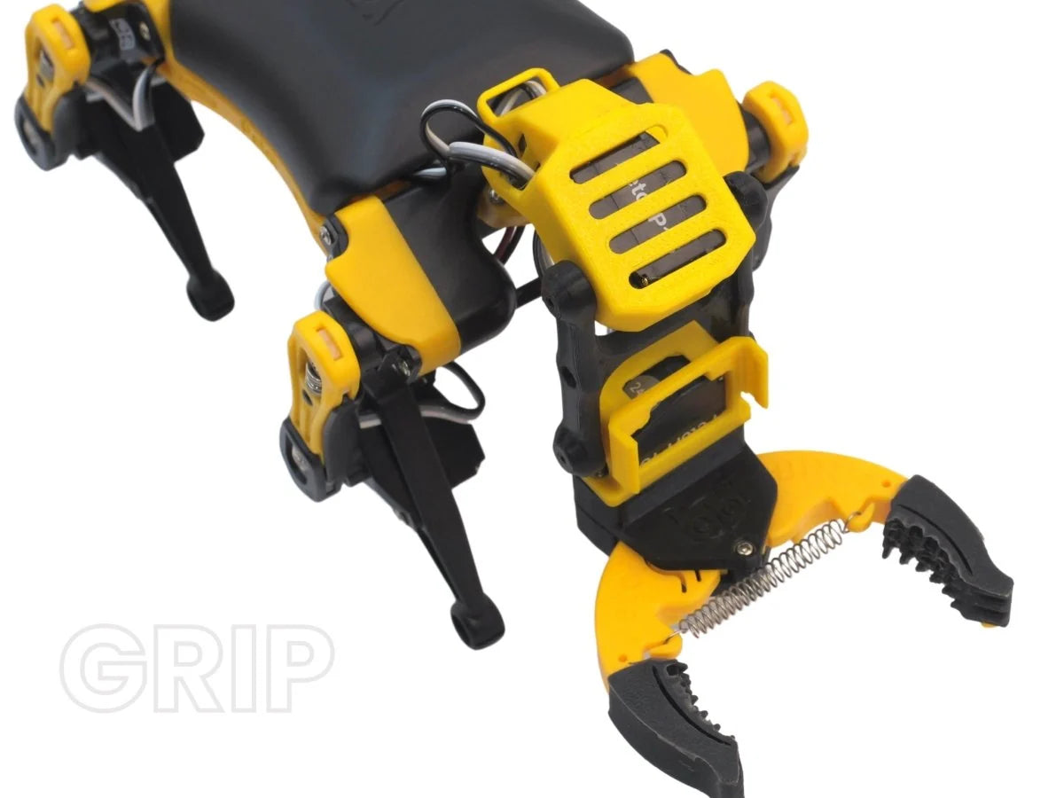 Robo Dog Bittle X | a Coding Robot | Petoi