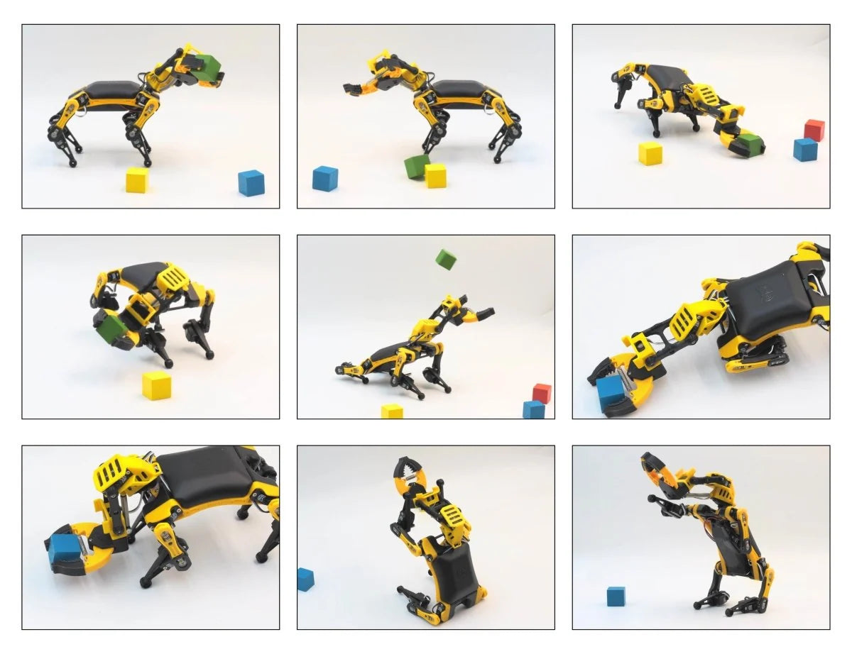 Robo Dog Bittle X | a Coding Robot | Petoi